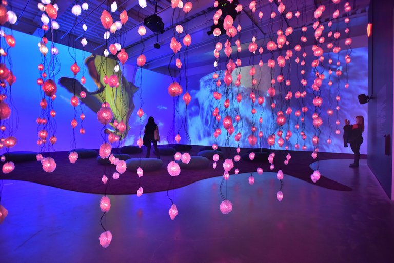 Pipilotti Rist