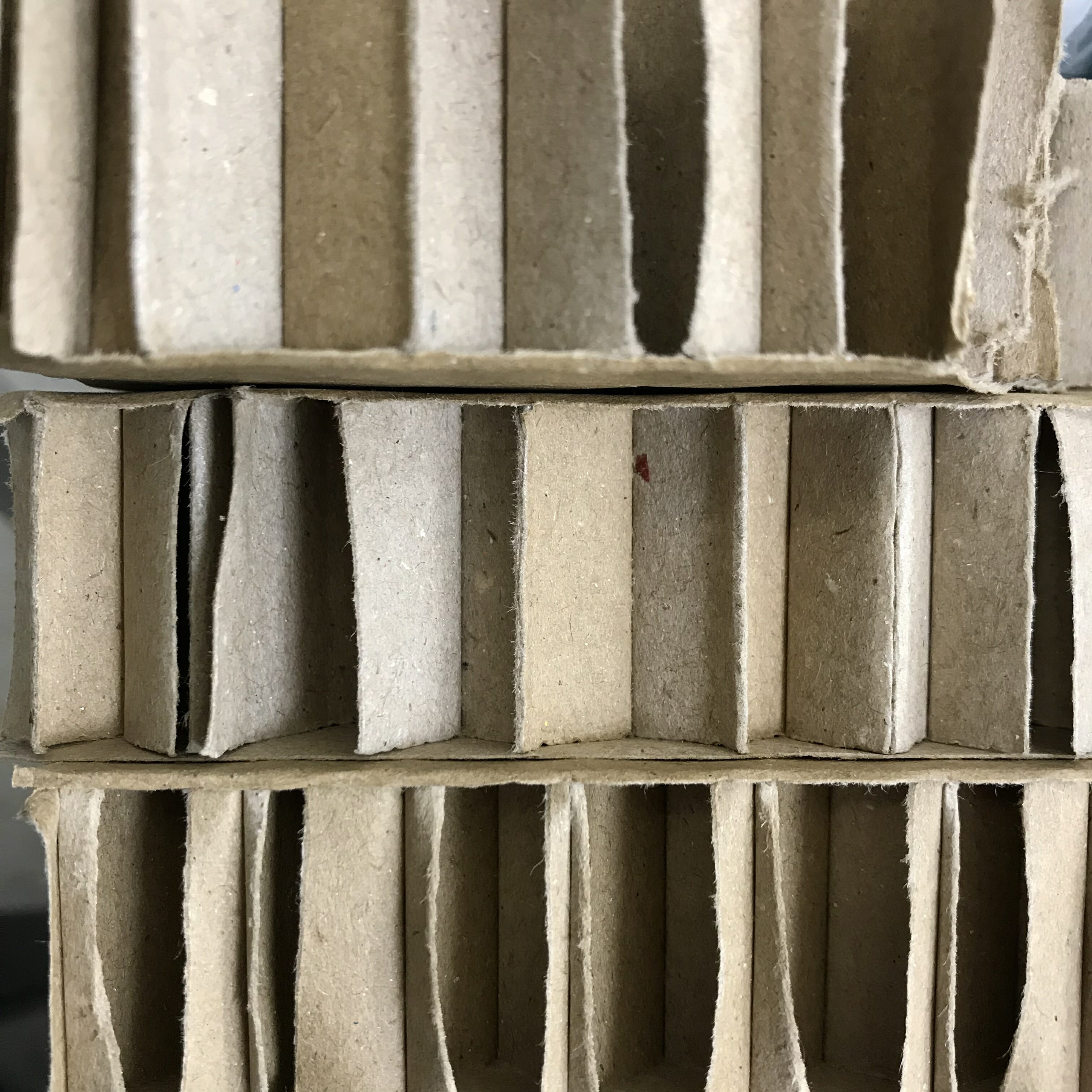 Cardboard Rhythms